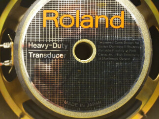 Roland Heavy Duty Transducer