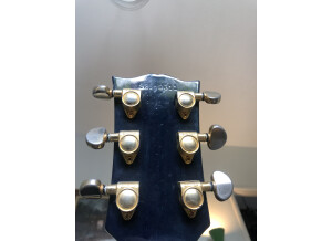 Gibson Les Paul Standard (50428)