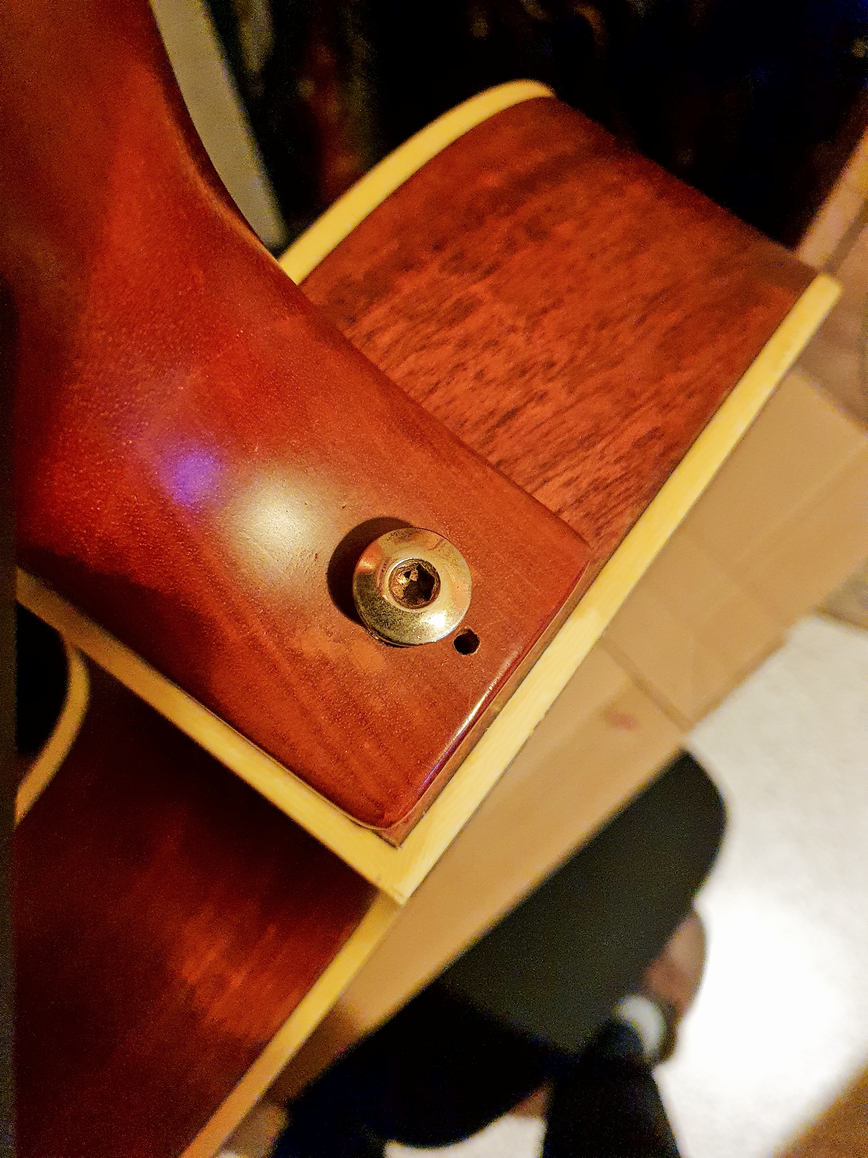 Ibanez EP9 Steve Vai Signature