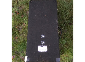 Enceinte Peavey1.JPG