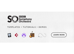 Spitfire Audio BBC Symphony Orchestra Discover (43806)