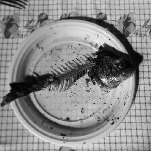 47_poisson_Maria Elena Palamenga_decrep_fanfan.JPG 47_poisson_Maria Elena Palamenga_decrep_fanfan.JPG