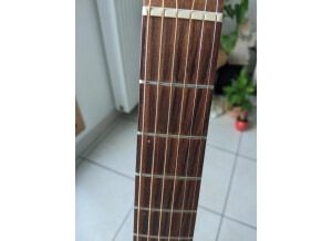 Simon & Patrick Woodland Pro Folk Mahogany 