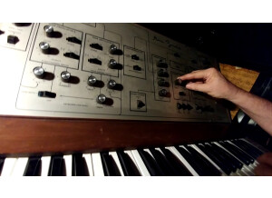 Moog Music MuSonics Sonic V (71415)