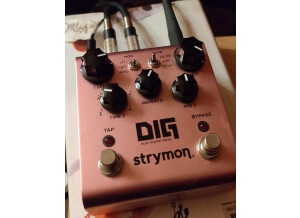 Strymon DIG (66238)