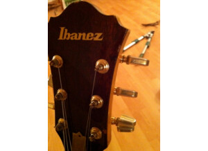 Ibanez [Musician Series] MC300 DS