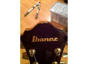 Ibanez [Musician Series] MC300 DS