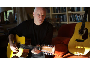 Martin & Co D-35 David Gilmour Signature