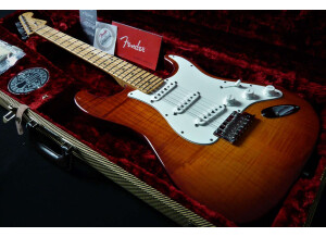 Fender Select Stratocaster (87113)