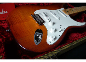 Fender Select Stratocaster (80547)