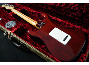 Fender Select Stratocaster (21062)
