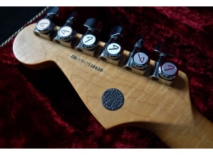 Fender Select Stratocaster (90159)