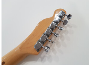 Fender Telecaster Custom (1978) (73225)