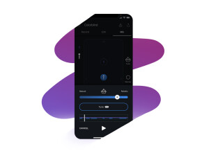 iZotope Spire App