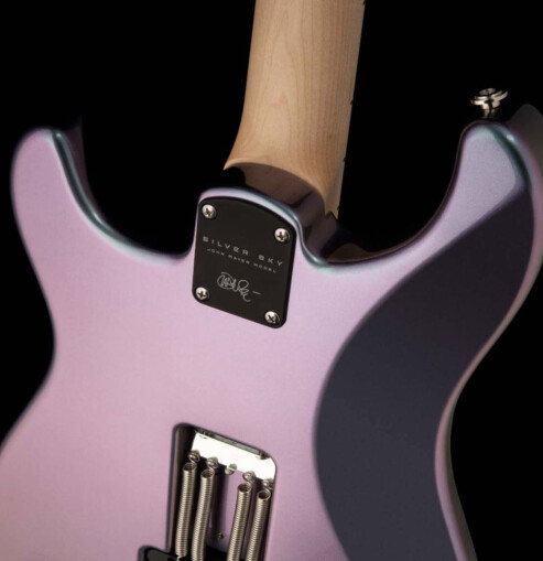 silver-skyback silver-skyback