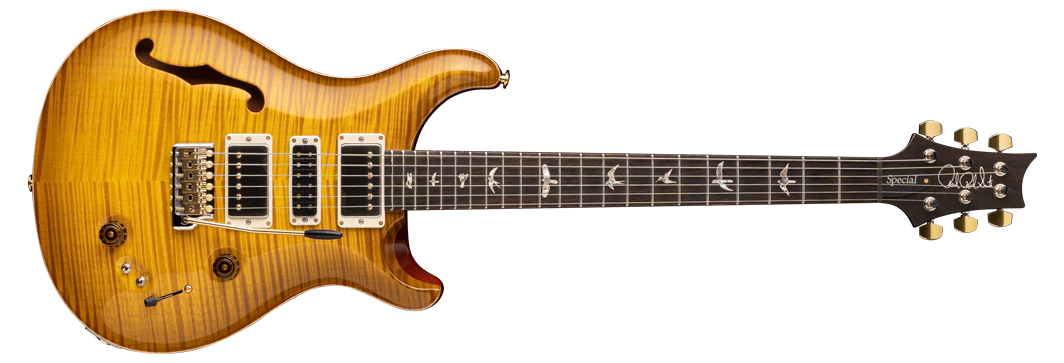 PRSspecialSemiHollow