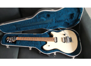 Peavey Wolfgang Special (55553)