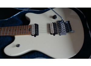 Peavey Wolfgang Special (70059)