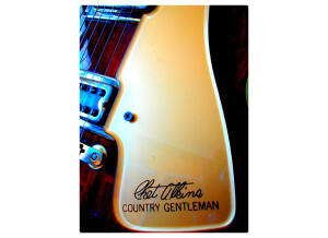 Gretsch G7670 Chet Atkins Country Gentleman (53649)