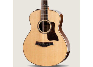 Taylor GT K21e