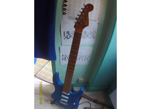 Harley Benton Fusion-T HH HT EB (41932)