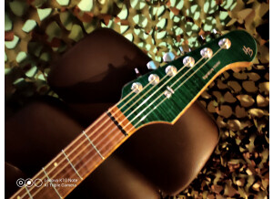 Harley Benton Fusion-T HH HT EB (57148)