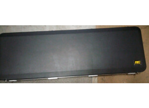 Rickenbacker 4003 (54956)