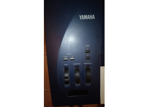 Yamaha EX5 (21813)