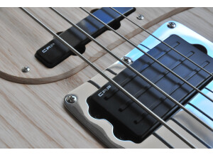 Ibanez ATK810E (73014)