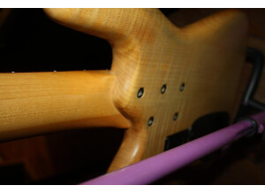 Spector NS-JH5 (77741)