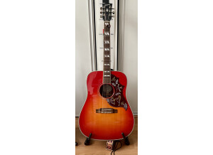 Gibson Hummingbird (21135)