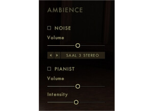 Native Instruments Noire (5704)