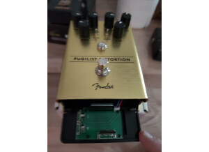 Fender Pugilist Distorsion (74251)