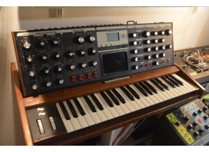 Moog Music Minimoog Voyager Performer Edition (89030)