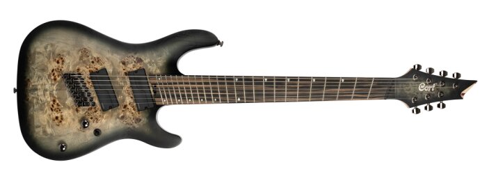 KX507multiscale KX507multiscale