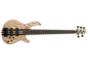 Cort Artisan A5 Beyond