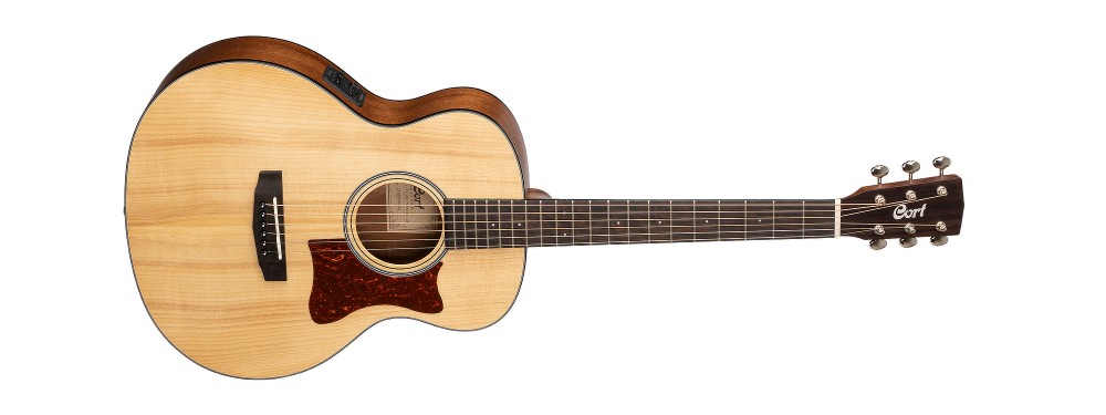 Little CJ Adirondack