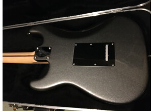 Fender American Standard Stratocaster [2008-2012] (18433)
