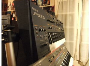 Roland JP-8000 (78801)