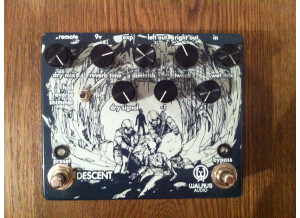 Walrus Audio Descent (13421)