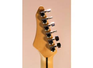 Fender American Standard Stratocaster [2008-2012] (96126)