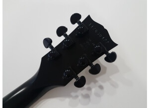 Gibson N-225 (44096)