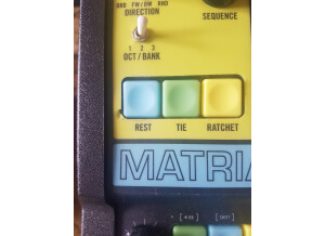 Moog Music Matriarch (34055)