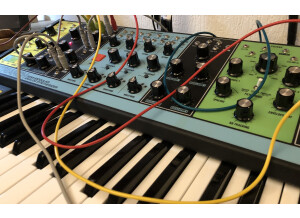 Moog Music Matriarch (43082)