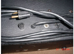 Polytone Mini Brute IV (40555)