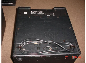 Polytone Mini Brute IV (26612)