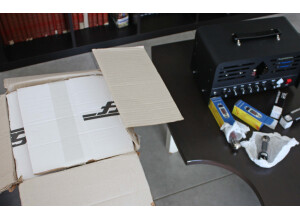 Ace Amplification Ace Live (98490)