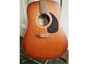 Art & Lutherie Cedar (47952)