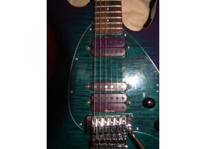 MusicMan Steve Morse