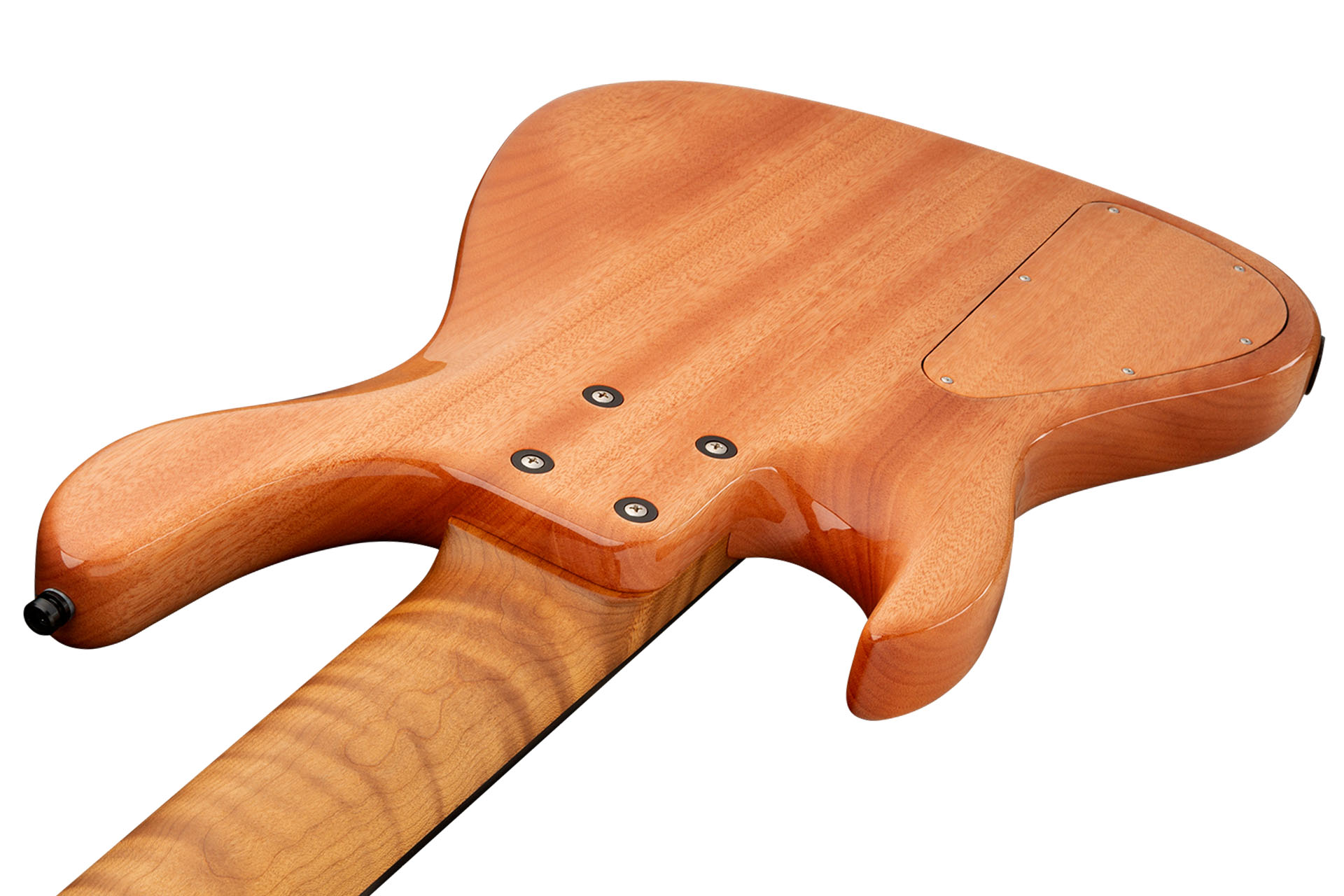 SCS24MS5_10BXXXXTE_06